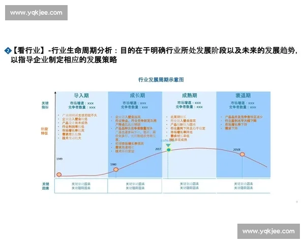 以流程规范为核心推动企业运营效率提升的实践与策略分析